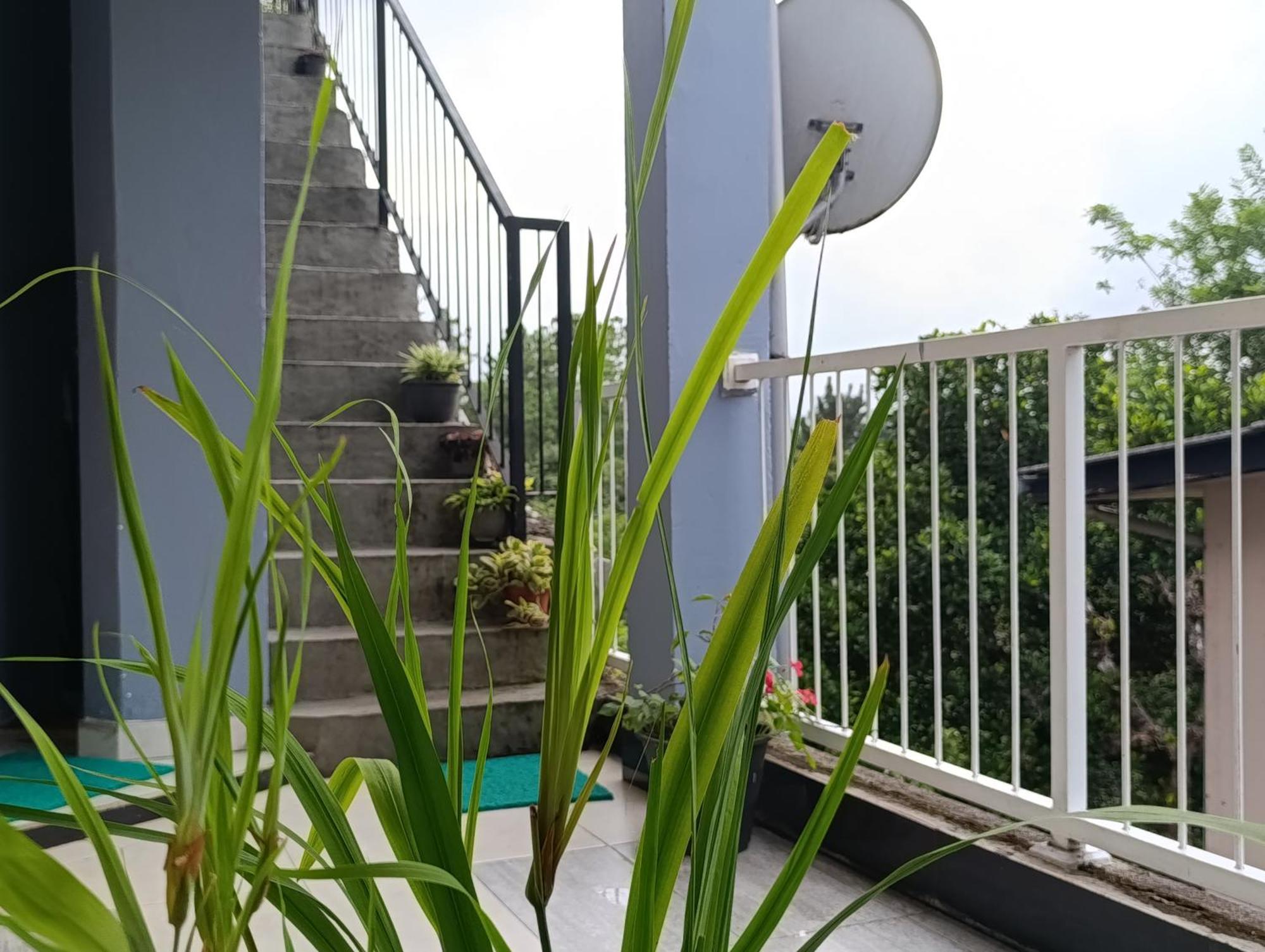 Villa Forest View - No: 50/17 Kandy Extérieur photo